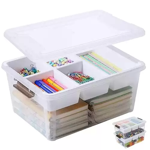 Clear Craft Storage Box with Removable Tray